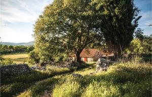 a house in the middle of a field with a tree at Cozy Home In Neoric With House A Panoramic View in Neorić