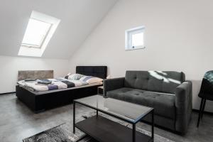 Apartmány Modřany في براغ: غرفة معيشة مع أريكة وطاولة قهوة