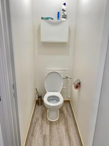 a small bathroom with a toilet in a room at Appartement T3 de Standing en Centre-Ville in Joué-lès-Tours