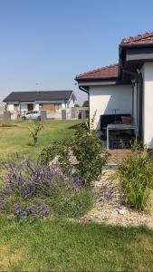 Zahrada ubytování 5 izbový samostatný stojaci rodinný dom s podkrovím a veľkou záhradou so sezónnym bazénom, celoročnou saunou a vírivkou-momentálne pokazena- od augusta bude nová na dovolenku a oddych