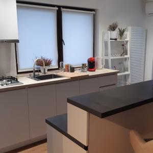 a kitchen with white cabinets and a sink and two windows at Penthouse View 29 in Piteşti