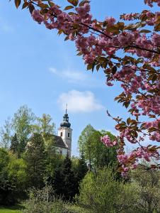 un edificio con una torre in lontananza con fiori rosa di Frühstückspension Eibenstein 