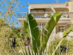 uma grande planta verde em frente a um edifício em le lodge Saint Clair em Sète