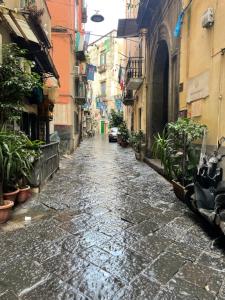 Okolí bed and breakfast