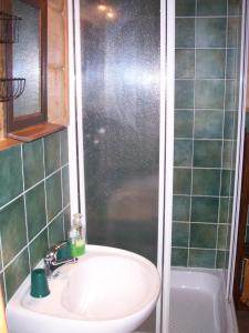 La salle de bains est pourvue d'un lavabo et d'une douche. dans l'établissement Jesenická Chalupa, 