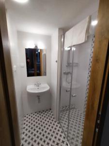 biała łazienka z umywalką i prysznicem w obiekcie Lipanka w mieście Lipova Lazne