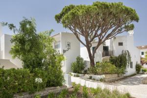 Κήπος έξω από το Villa Leeroy