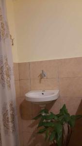 lavabo blanco en un baño con planta en gogi, en Tskaltubo