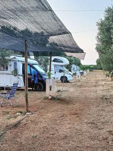 grupa pojazdów zaparkowanych pod namiotem w obiekcie Torre Lapillo Agricampeggio w mieście Torre Lapillo