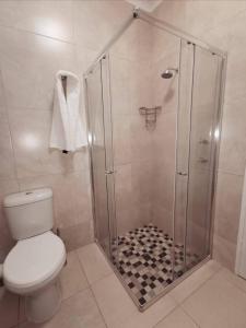 a bathroom with a shower and a toilet at Fair Haven Guest Suite Self-catering in Marina Beach