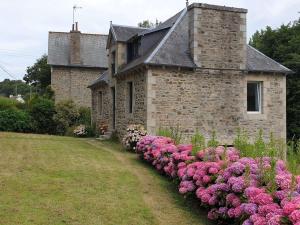 a stone house with pink flowers in front of it at Maison Saint-Quay-Perros, 4 pièces, 6 personnes - FR-1-368-258 in Saint-Quay-Perros