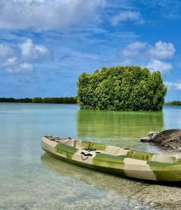 a boat sitting in the water next to a bush at Shitha Inn in Hithadhoo