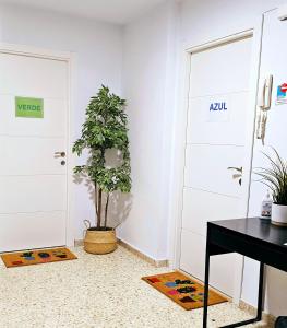 Zimmer mit Tür und Topfpflanze in der Unterkunft Plaza de Armas in Sevilla
