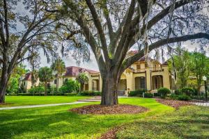 a house with a large tree in the yard at The Floridian Newly Built Dreamhome Central in Gainesville