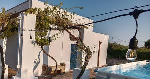 Bazén v ubytování LA PILA masseria salentina con piscina 3 camere con 6 PL si animali domestici nebo v jeho okolí