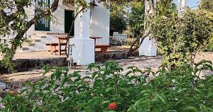Zahrada ubytování LA PILA masseria salentina con piscina 3 camere con 6 PL si animali domestici