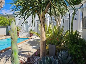 un giardino con una palma e una piscina di De Graaff Manor a Graaff-Reinet