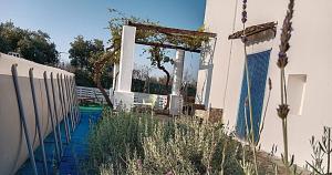 Zahrada ubytování LA PILA masseria salentina con piscina 3 camere con 6 PL si animali domestici