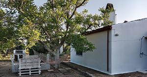 Zahrada ubytování LA PILA masseria salentina con piscina 3 camere con 6 PL si animali domestici