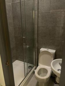 W łazience znajduje się prysznic, toaleta i umywalka. w obiekcie 101 Walter Road w mieście Swansea