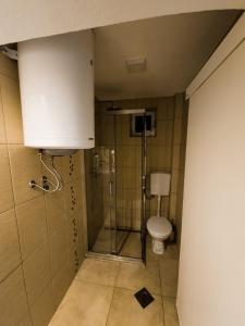 Kupatilo u objektu Apartmani Park Mataruška Banja