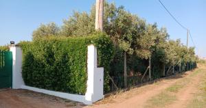 Zahrada ubytování LA PILA masseria salentina con piscina 3 camere con 6 PL si animali domestici