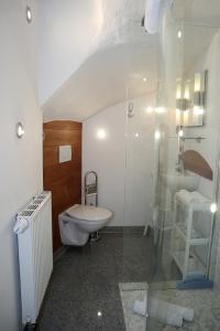 een badkamer met een wastafel, een toilet en een douche bij Haus Blattert - Neuglashütten in Feldberg