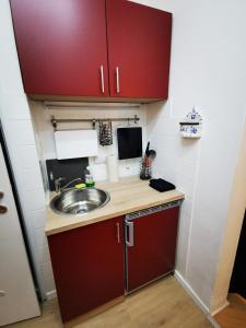 Kuchnia lub aneks kuchenny w obiekcie Zentrale, ruhige Wohnung nahe Murinsel & Kunsthaus