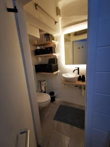 a bathroom with a toilet and a sink at Zentrale, ruhige Wohnung nahe Murinsel & Kunsthaus in Graz