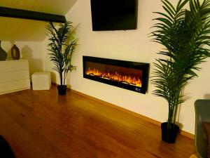 a fireplace in a living room with two plants at Janota Week with pool in Setúbal
