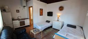 Torrepalma的住宿－Estudio 1 Hacienda Torrepalma，带沙发的客厅和小厨房。