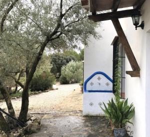 Ogród w obiekcie La Mejorana Refugio andaluz con piscina entre olivos