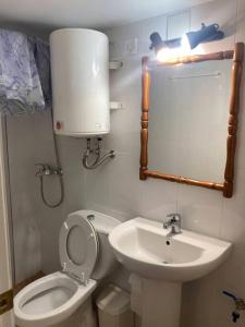 a small bathroom with a toilet and a sink at Mini casa en Alquiler in Albaida del Aljarafe