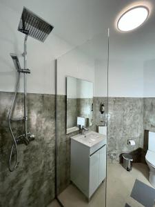 a bathroom with a shower and a sink and a mirror at Alto Guest room in Lousã