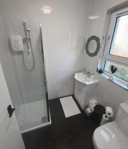 ein Bad mit einer Dusche, einem WC und einem Waschbecken in der Unterkunft Jacob's Place - rural location in Lanark