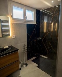 een badkamer met een douche en een wastafel bij Appartement vue montagnes in Gap