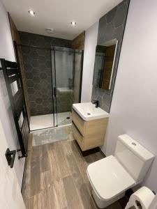 y baño con aseo, lavabo y ducha. en 1bedroom ground floor apartment, en Aberdeen