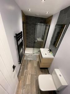 y baño con aseo y lavamanos. en 1bedroom ground floor apartment, en Aberdeen