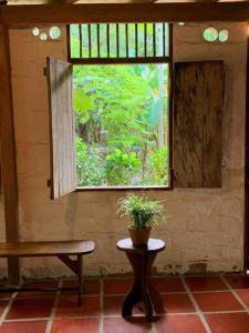 a window in a room with a bench and a potted plant at Casa Komerio in Palomino