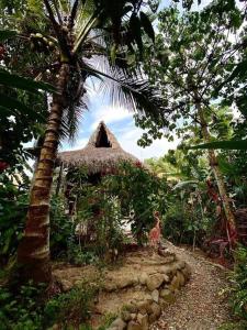 帕洛米諾的住宿－Casa Komerio，一间棕榈树小屋,一个站在小屋前面的人