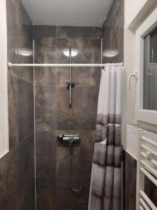 a shower with a glass door in a bathroom at Wohnen wie Zuhause in Abstatt