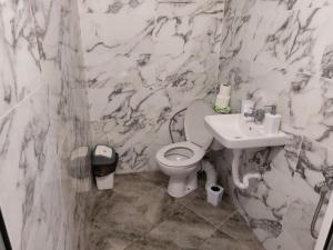 丘斯藤迪爾的住宿－Къща за гости Балканъ，一间带卫生间和水槽的浴室