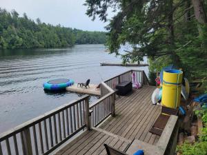 a dock with a dog and a boat on the water at The Bear Cave Cottage at Little Kennisis Lake in Algonquin Highlands