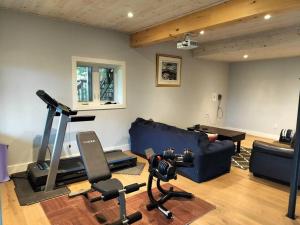 a living room with a couch and a gym at The Bear Cave Cottage at Little Kennisis Lake in Algonquin Highlands