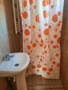 a bathroom with a sink and a shower curtain at Casa Emilia Ana Maria in Recaş +7 photos