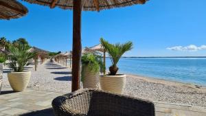 a beach with a row of umbrellas and palm trees at Apartments Adria in Vir
