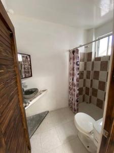 ein Bad mit einem WC und einer Dusche in der Unterkunft Estudio en el centro de Coatepec in Coatepec