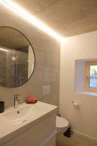 a bathroom with a sink and a mirror and a toilet at Maisonnette de campagne in Sion