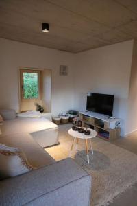 een woonkamer met een bed en een televisie bij Maisonnette de campagne in Sion