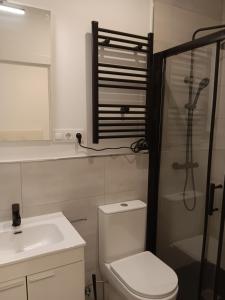 uma casa de banho com um WC, um chuveiro e um lavatório. em Gregorio Marañón Apartment 3 em Madri